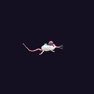 LAB MOUSE