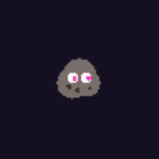 PET ROCK